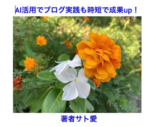 AI活用でブログ実践も時短で成果up!