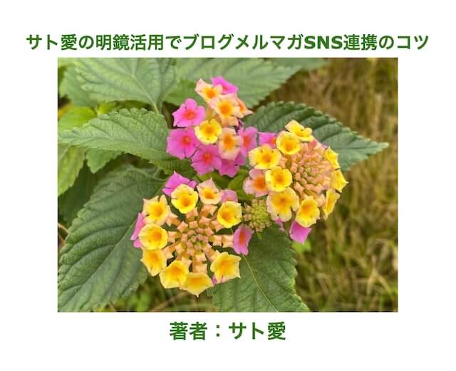サト愛の明鏡特典レポート表紙画像