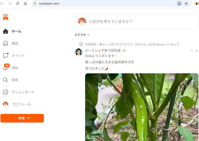 日本語版サブスタックログイン無事成功1